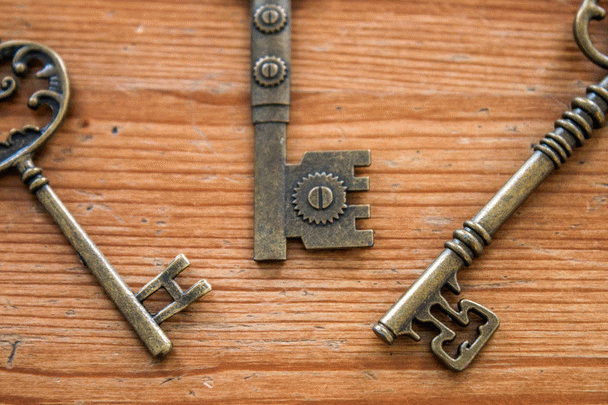 راهنمای جامع خرید قفس خوکچه هندی و نکات مهم نگهداری آن